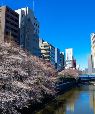 【2026年】目黒区でトイレリフォームに使える補助金一覧